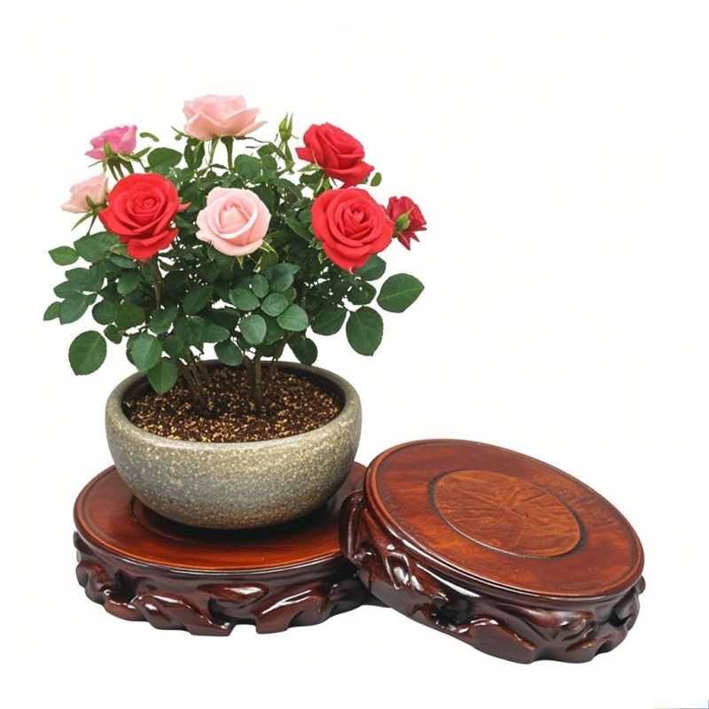Wooden Plant Saucer & Flower P - огляд і ціна Coffee Tea Gardens